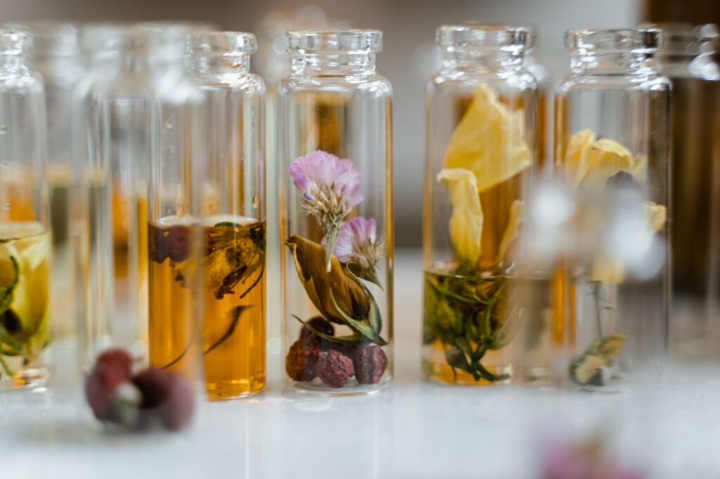 Botanische Pflanzenwirkstoffe in Glasfläschchen als Basis für pflanzenbasierte Haarpflege